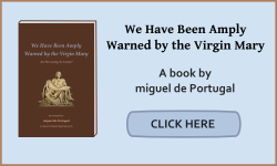 "We Have Been Amply Warned by the Virgin Mary" - A book by miguel de Portugal